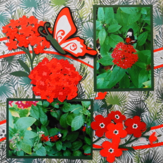 Martha Stewart Cricut® Paper Butterfly Bouquet